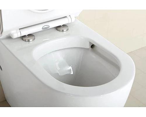 Купить Чаша напольного безободкового унитаза BelBagno Sfera-R BB006CPR в магазине сантехники Santeh-Crystal.ru