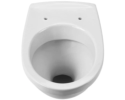 Приобрести Подвесной унитаз с сиденьем микролифт Santek Бореаль 1.WH30.2.205 в магазине сантехники Santeh-Crystal.ru