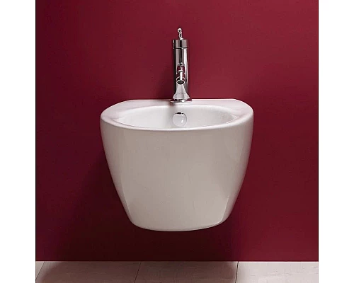 Приобрести Биде подвесное Jacob Delafon Presquile E4441-00 в магазине сантехники Santeh-Crystal.ru