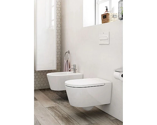 Заказать Подвесное биде Roca Inspira 357525000 в магазине сантехники Santeh-Crystal.ru