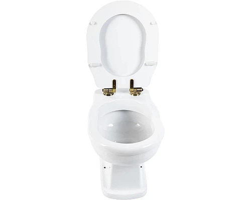 Купить Приставной унитаз BelBagno Boheme BB115CBS в магазине сантехники Santeh-Crystal.ru