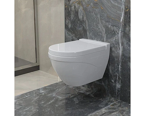 Заказать Подвесной безободковый унитаз Ambassador Nord 133T20001 в магазине сантехники Santeh-Crystal.ru