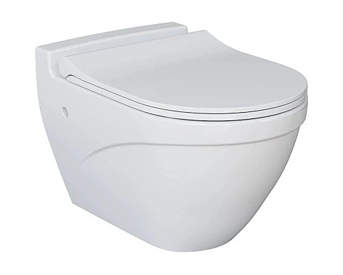 Заказать Подвесной безободковый унитаз Ambassador Nord 133T20001 в магазине сантехники Santeh-Crystal.ru