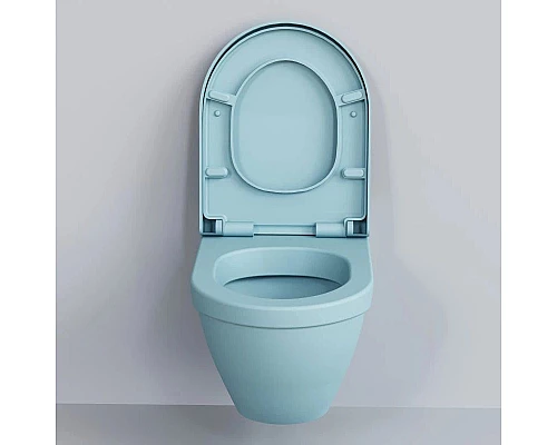 Заказать Подвесной безободковый унитаз Ambassador Nord 133T20801 в магазине сантехники Santeh-Crystal.ru