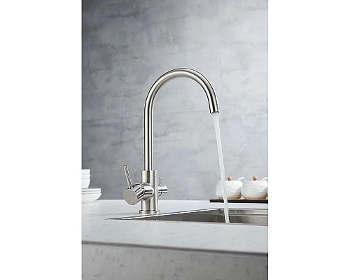 Заказать Смеситель для кухни с фильтром Paulmark Essen Es213211-NI + H851P00 в магазине сантехники Santeh-Crystal.ru