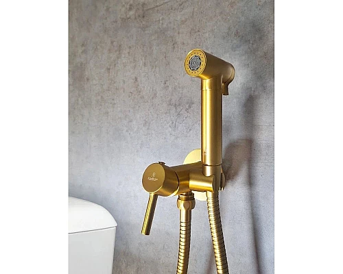Гигиенический душ AltroBagno Modern 060117OrSp со смесителем, золотой матовый