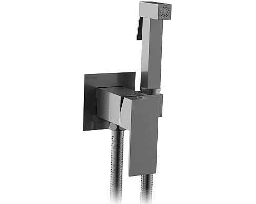 Гигиенический душ AltroBagno Beni aggiuntivi AltroBagnoBM060121GrMt со смесителем, оружейная сталь