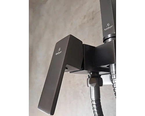 Гигиенический душ AltroBagno Beni aggiuntivi AltroBagnoBM060121GrMt со смесителем, оружейная сталь