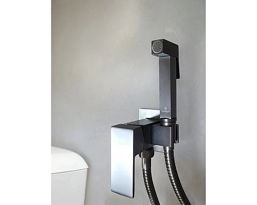 Гигиенический душ AltroBagno Beni aggiuntivi AltroBagnoBM060121GrMt со смесителем, оружейная сталь