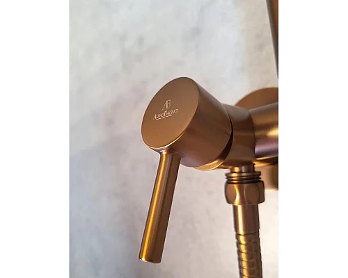 Гигиенический душ AltroBagno Modern 060123RaSp со смесителем, медь матовая