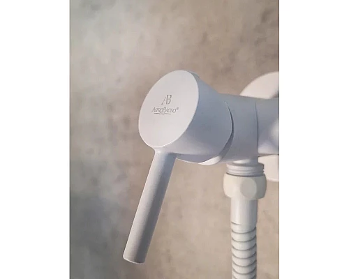 Гигиенический душ AltroBagno Modern 060124BiOp со смесителем, белый матовый