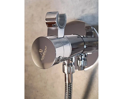 Гигиенический душ AltroBagno Beni aggiuntivi AltroBagnoBM060401Cr с термостатом, хром