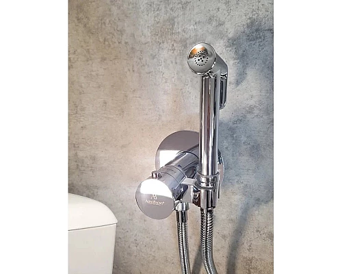 Гигиенический душ AltroBagno Beni aggiuntivi AltroBagnoBM060401Cr с термостатом, хром