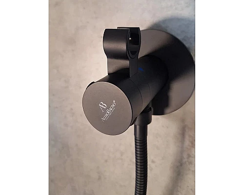 Гигиенический душ AltroBagno Beni aggiuntivi AltroBagnoBM060402NeOp с термостатом, черный матовый