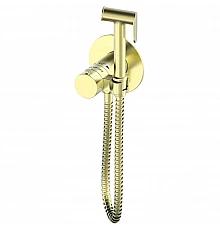 Гигиенический душ AltroBagno Beni aggiuntivi AltroBagnoBM060403OrSp с термостатом, золотой матовый