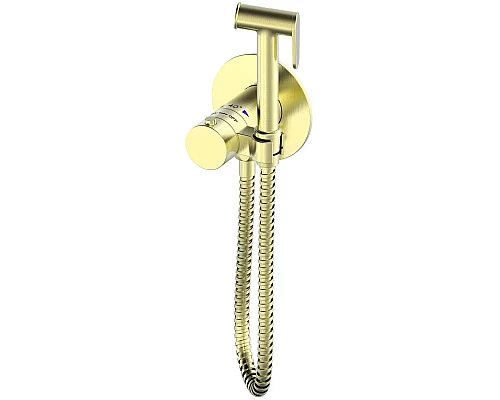 Гигиенический душ AltroBagno Beni aggiuntivi AltroBagnoBM060403OrSp с термостатом, золотой матовый