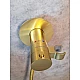 Гигиенический душ AltroBagno Beni aggiuntivi AltroBagnoBM060403OrSp с термостатом, золотой матовый