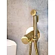 Гигиенический душ AltroBagno Beni aggiuntivi AltroBagnoBM060403OrSp с термостатом, золотой матовый