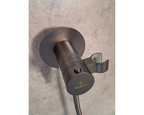 Гигиенический душ AltroBagno Beni aggiuntivi AltroBagnoBM060404GrMt с термостатом, оружейная сталь