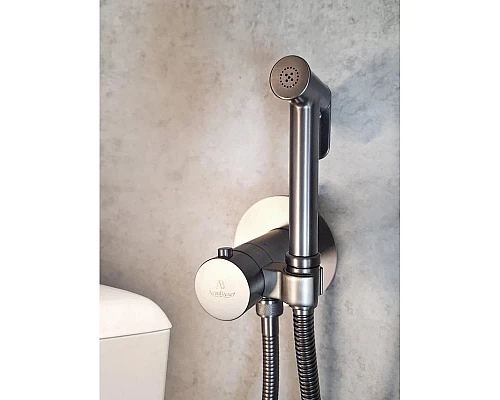 Гигиенический душ AltroBagno Beni aggiuntivi AltroBagnoBM060404GrMt с термостатом, оружейная сталь