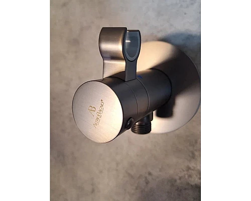 Гигиенический душ AltroBagno Beni aggiuntivi AltroBagnoBM060404GrMt с термостатом, оружейная сталь