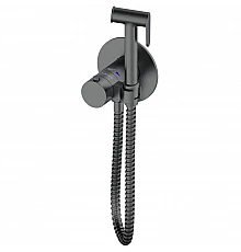 Гигиенический душ AltroBagno Beni aggiuntivi AltroBagnoBM060404GrMt с термостатом, оружейная сталь