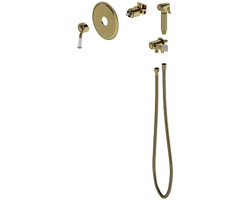 Заказать Гигиенический комплект Timo Arisa 5309/02SM в магазине сантехники Santeh-Crystal.ru