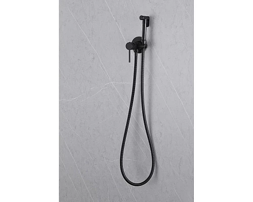 Купить Гигиенический комплект Abber Wasser Kreis AF8125B в магазине сантехники Santeh-Crystal.ru