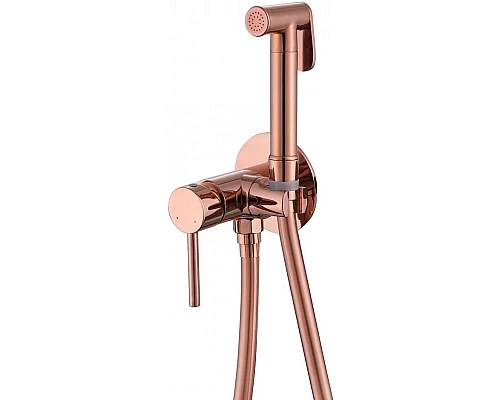 Приобрести Гигиенический комплект Abber Wasser Kreis AF8125RG в магазине сантехники Santeh-Crystal.ru