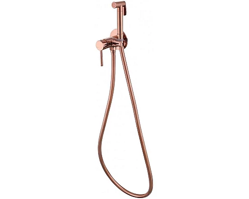 Приобрести Гигиенический комплект Abber Wasser Kreis AF8125RG в магазине сантехники Santeh-Crystal.ru