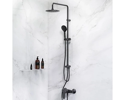 Купить Душевая стойка 220 мм AM.PM Gem F42890A24 в магазине сантехники Santeh-Crystal.ru