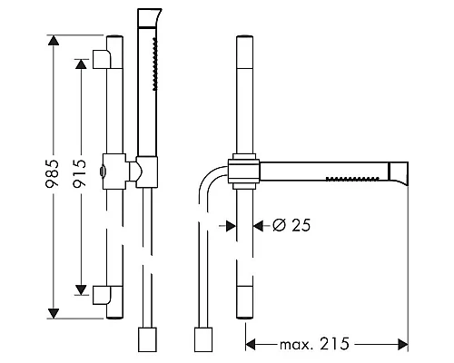Купить Душевой гарнитур Axor Starck Organic 12231000 в магазине сантехники Santeh-Crystal.ru