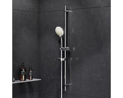 Купить Душевой гарнитур AM.PM Bliss L F0153164 в магазине сантехники Santeh-Crystal.ru