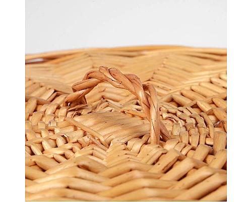 Приобрести Корзина для белья WasserKRAFT Main WB-410-L с крышкой Светло-коричневая в магазине сантехники Santeh-Crystal.ru