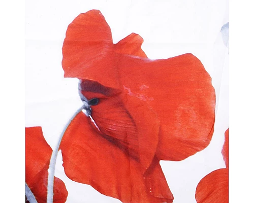 Купить Штора для ванны WasserKRAFT Main 180x200 SC-47101 Белая в магазине сантехники Santeh-Crystal.ru