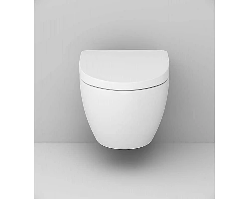 Заказать Сиденье для унитаза AM.PM Awe C117852WH Белое с микролифтом в магазине сантехники Santeh-Crystal.ru