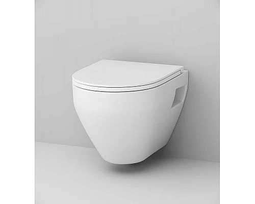 Купить Сиденье для унитаза AM.PM Spirit V2.0 C707857WH Белое с микролифтом в магазине сантехники Santeh-Crystal.ru