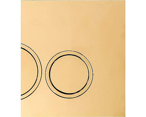 Приобрести Клавиша смыва Cerutti SPA CR05CG Шампань золотой в магазине сантехники Santeh-Crystal.ru