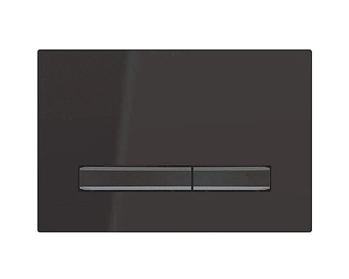 Купить Клавиша смыва Geberit Sigma 50 115.671.DW.2 Черный в магазине сантехники Santeh-Crystal.ru