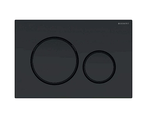 Купить Клавиша смыва Geberit Sigma 20 115.882.16.1 Черная матовая в магазине сантехники Santeh-Crystal.ru
