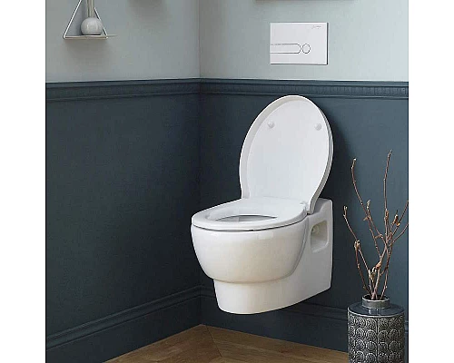 Заказать Клавиша смыва Jacob Delafon E4326-00 Белая в магазине сантехники Santeh-Crystal.ru