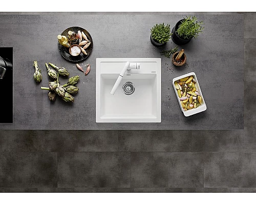 Заказать Кухонная мойка Blanco Dalago 5 518524 Белая в магазине сантехники Santeh-Crystal.ru