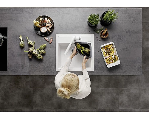 Купить Кухонная мойка Blanco Dalago 5 518526 Шампань в магазине сантехники Santeh-Crystal.ru