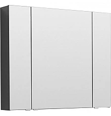 Зеркальный шкаф Aquanet Алвита 100 240113 Серый антрацит