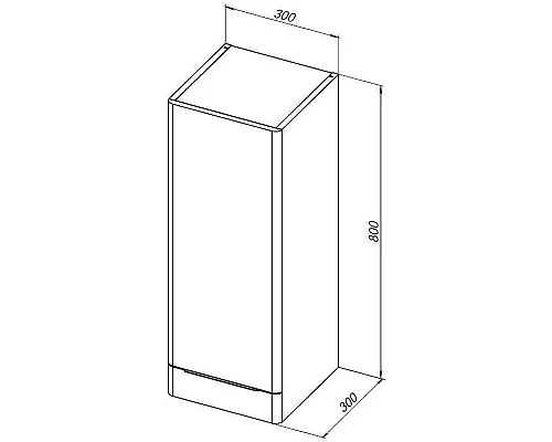 Заказать Подвесной шкаф Aquanet Ирис new 30 310155 Белый глянцевый в магазине сантехники Santeh-Crystal.ru
