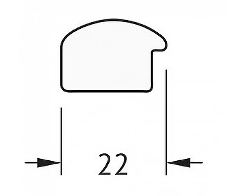 Заказать Зеркало Evoform Definite 98х48 BY 0690 в багетной раме - Махагон 22 мм в магазине сантехники Santeh-Crystal.ru