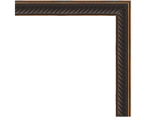 Купить Зеркало Evoform Definite 78х58 BY 0641 в багетной раме - Витой махагон 28 мм в магазине сантехники Santeh-Crystal.ru