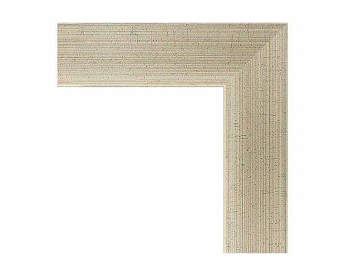 Купить Зеркало Evoform Definite 64х64 BY 0615 в багетной раме - Травленое серебро 59 мм в магазине сантехники Santeh-Crystal.ru