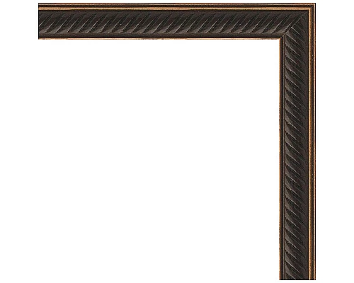 Приобрести Зеркало Evoform Definite 148х68 BY 0761 в багетной раме - Витой махагон 28 мм в магазине сантехники Santeh-Crystal.ru