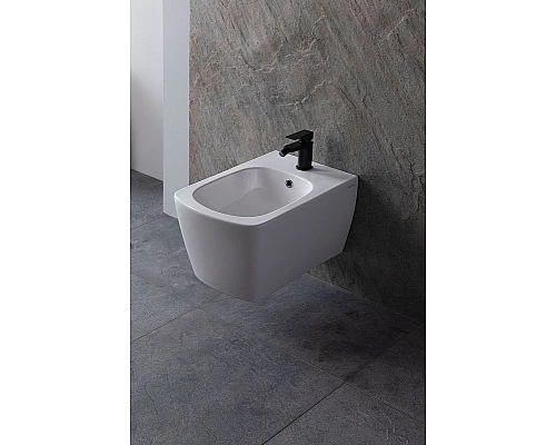 Приобрести Биде Allen Brau Liberty 4.33005.20 подвесное Белое в магазине сантехники Santeh-Crystal.ru